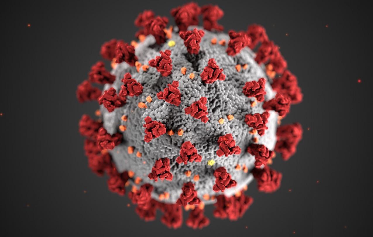 Picture of a Coronavirus Cell